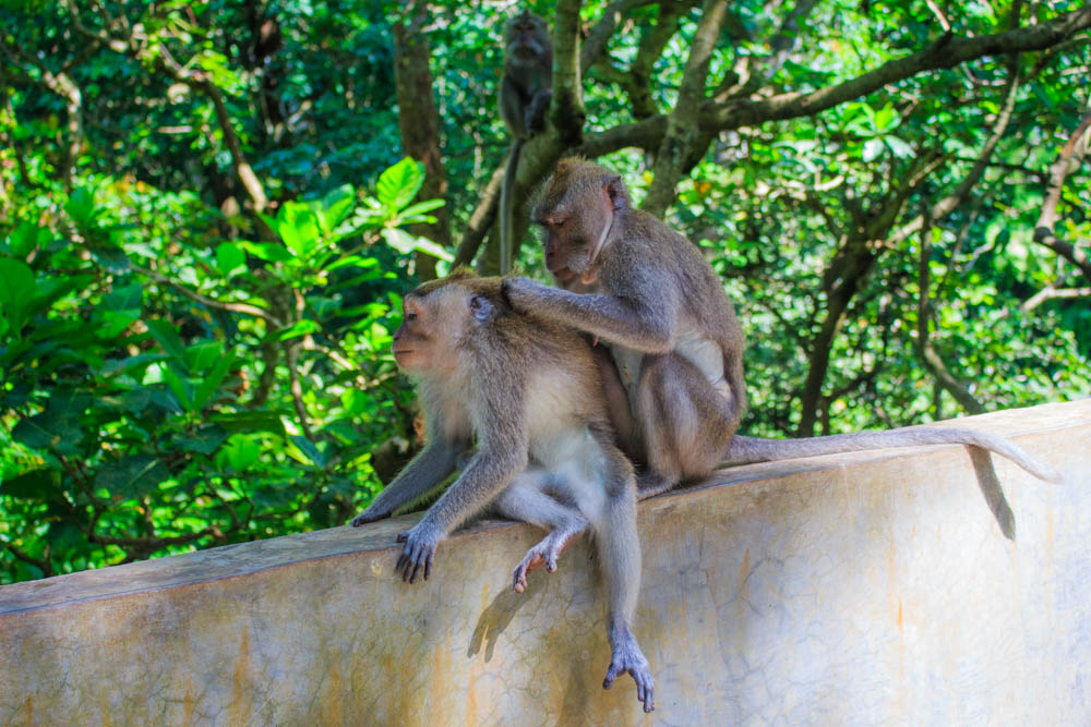 Ubud