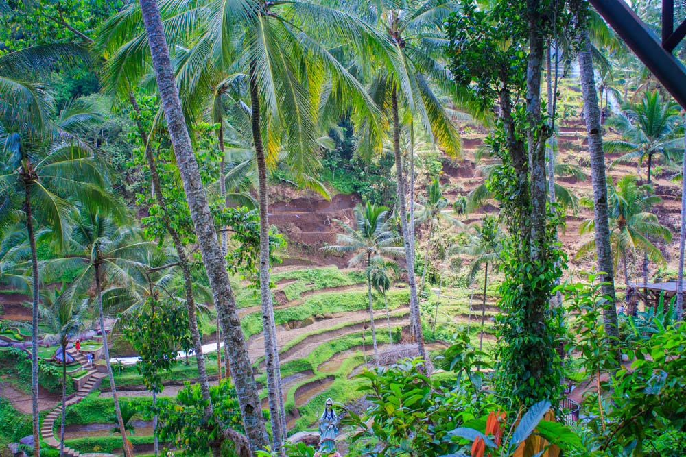 Ubud