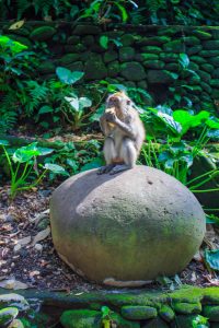Ubud