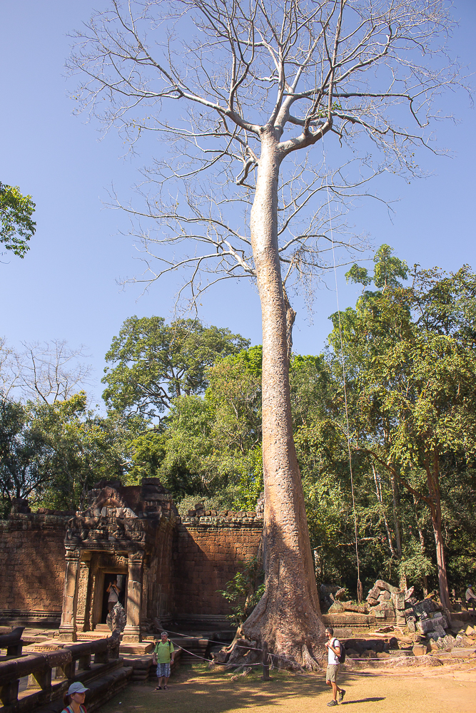 Angkor Wat, Kambodja