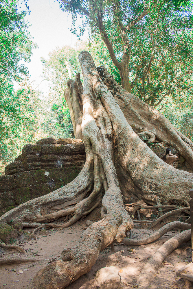 Angkor Wat, Kambodja