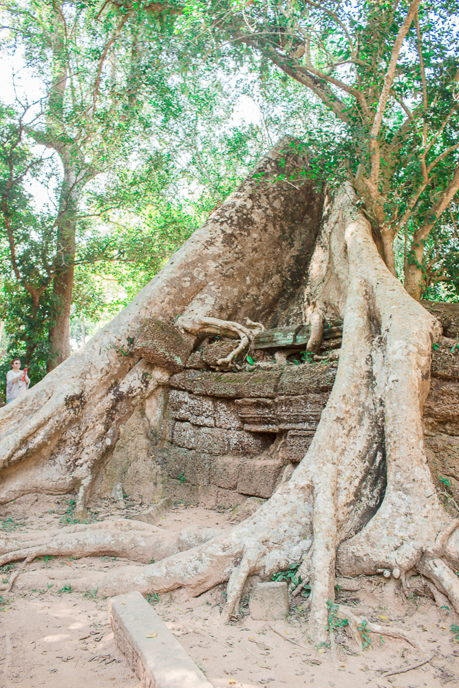 Angkor Wat, Kambodja