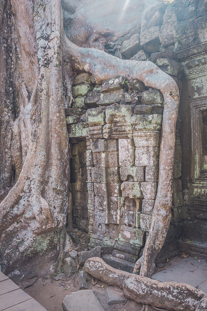 Angkor Wat, Kambodja