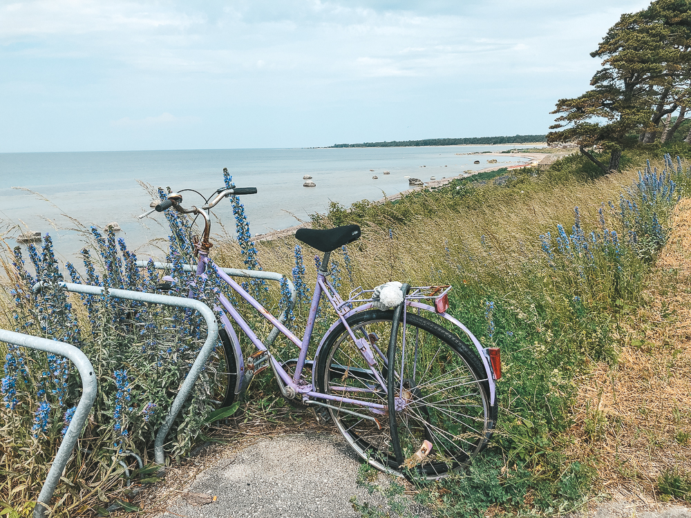 Tofta Strand, Gotland