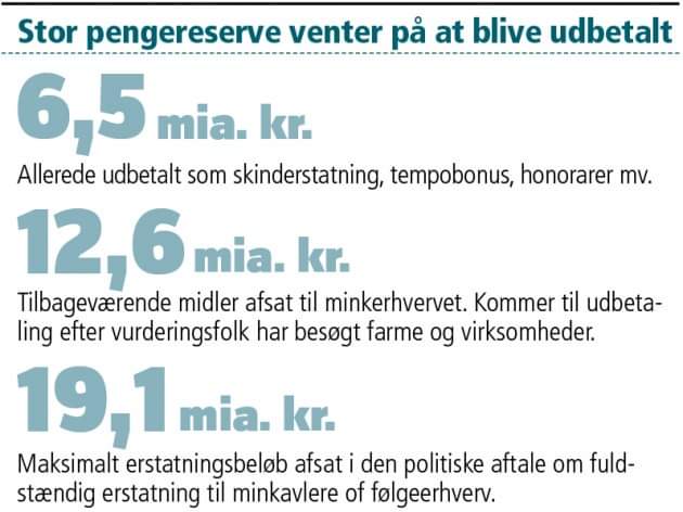 Ny forsinkelse rammer mink-erstatninger: Nu kan de først forvente en afgørelse inden nytår.