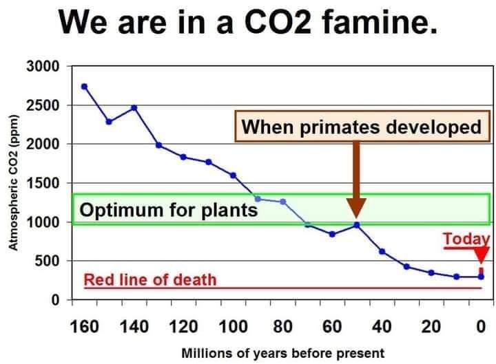 Vi har ikke for meget CO2, faktisk har vi CO2 underskud!