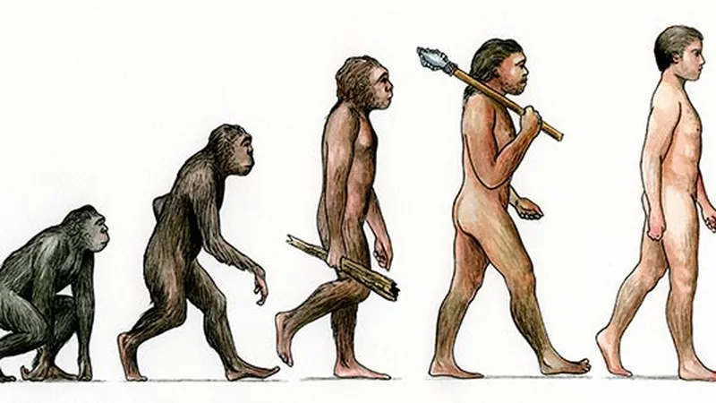 Tror du på evolutionen?