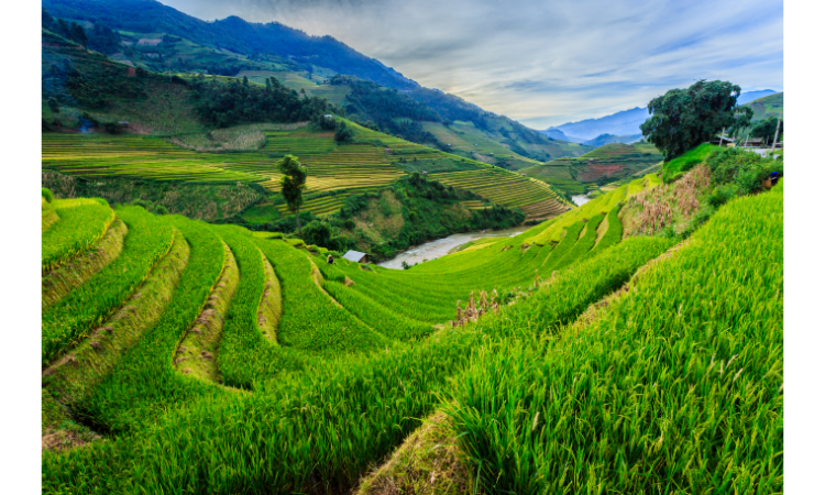 5 Reasons You Must Visit Vietnam