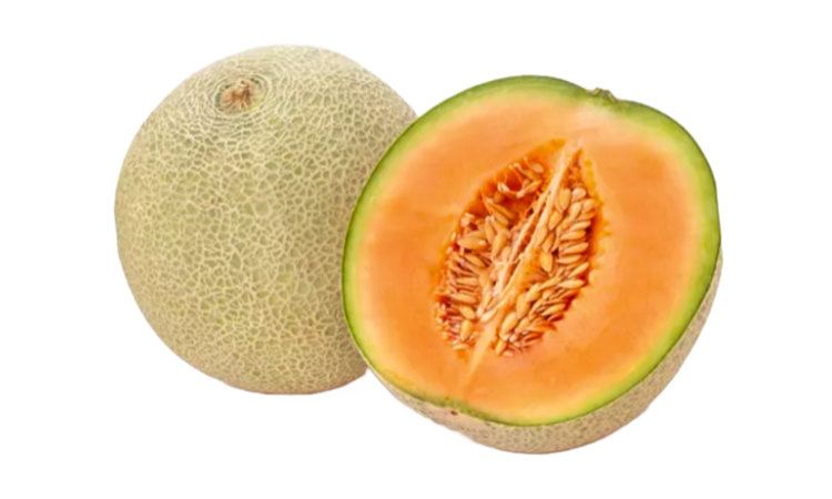 what is melon