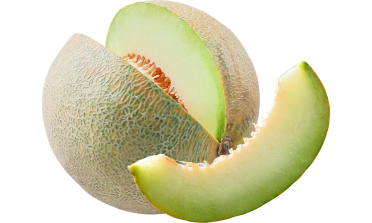what is melon