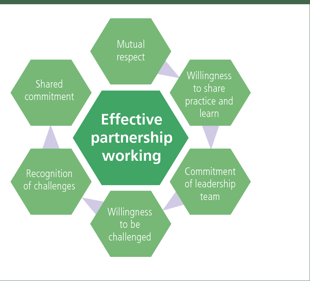 How Does a 50 50 Business Partnership Work