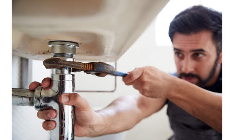 Is Bathroom Mold Dangerous? Unmasking the Unseen Threat