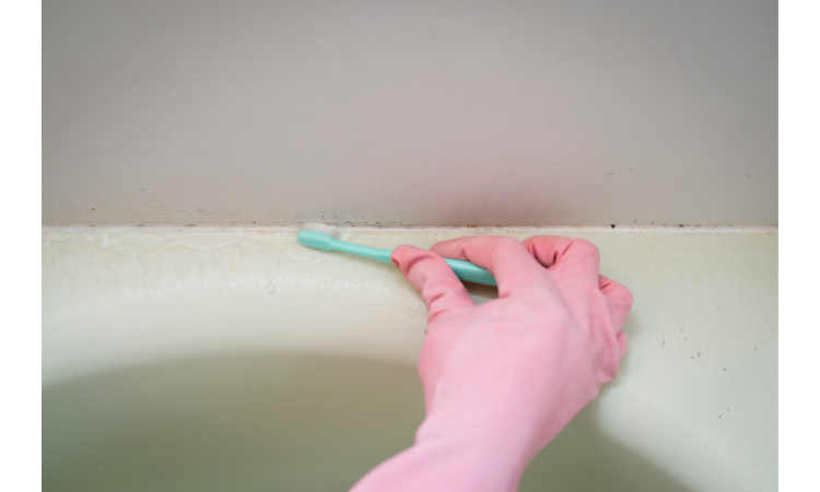 Is Bathroom Mold Dangerous? Unmasking the Unseen Threat