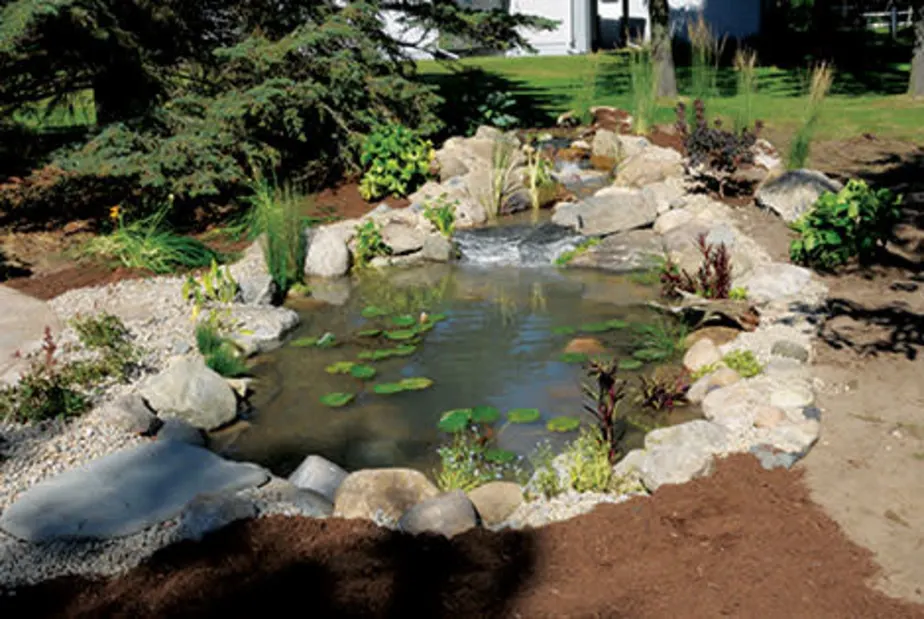Benefits of Adding Ponds to Your Garden