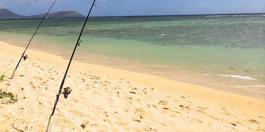 Top Fishing Destinations