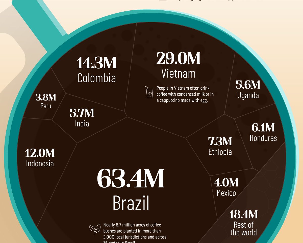 Top 5 Countries With High-Quality Coffee