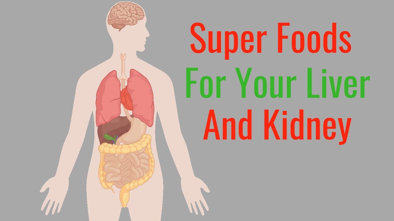 How To Keep Your Kidneys Healthy