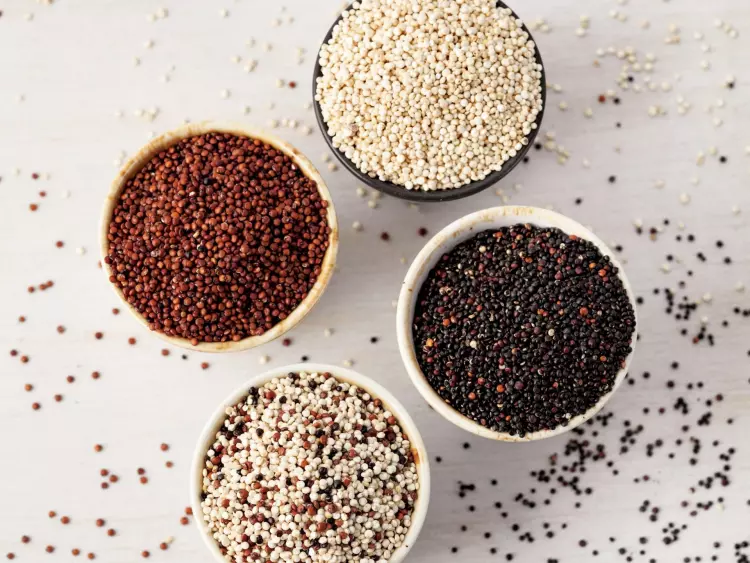 Quinoa - Everything We Need to Know