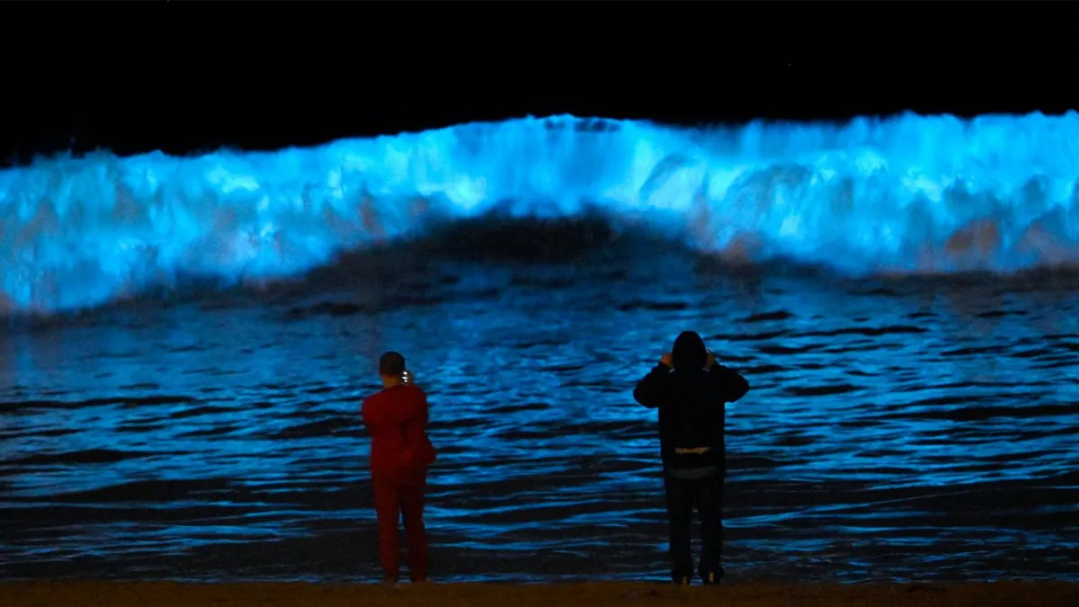 The Beauty of Bioluminescent Algae Shows in Oceans and Lakes