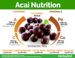 5 Reasons to Add Acai to Your Diet Today