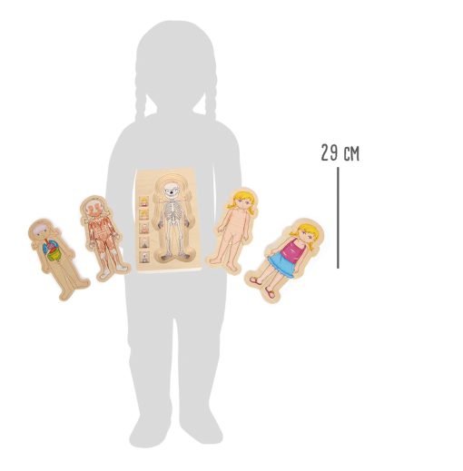 LG 5814 layer puzzle anatomy girl 4