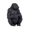 381004 Gorilla Female 3 2