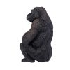 381004 Gorilla Female 5 2