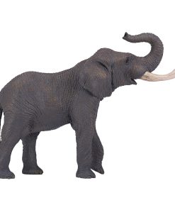 Mojo Afrikansk tyr elefant