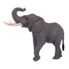 381005 African Elephant 3 2