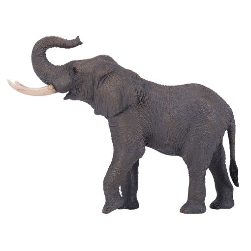 381005 African Elephant 4 2