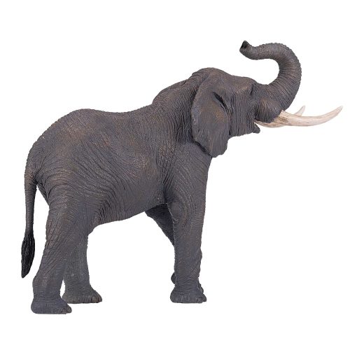 381005 African Elephant 5 2