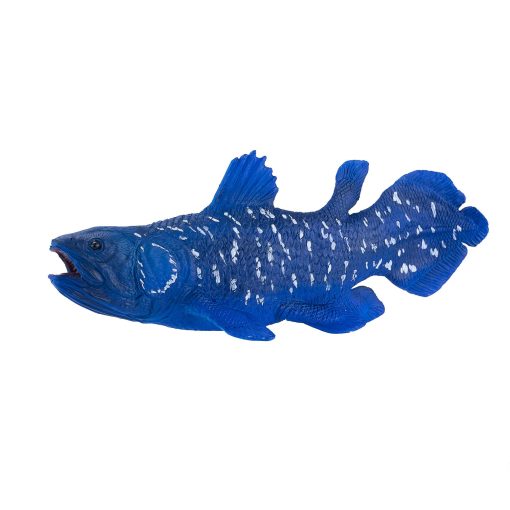 381050 Coelacanth 2 2