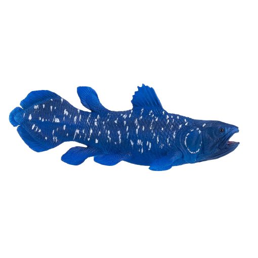 381050 Coelacanth 3 2