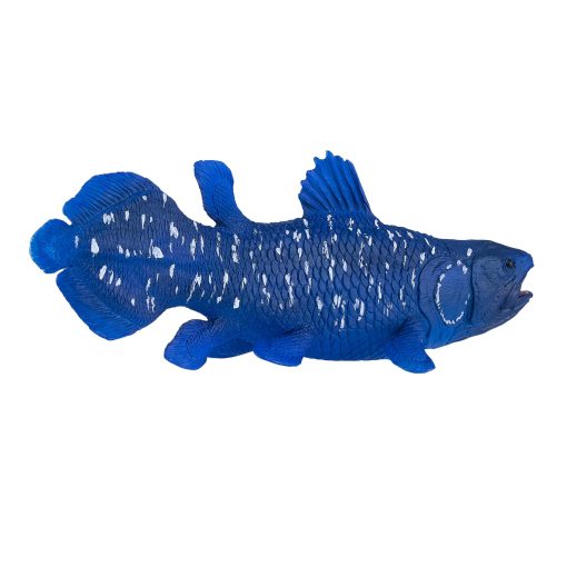Mojo Coelacanths fisk - Image 5