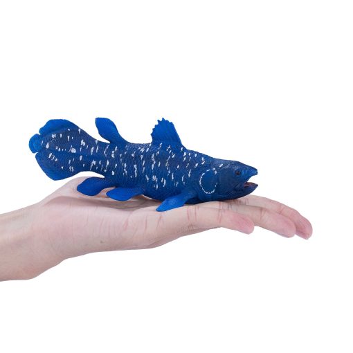 381050 Coelacanth 6 2