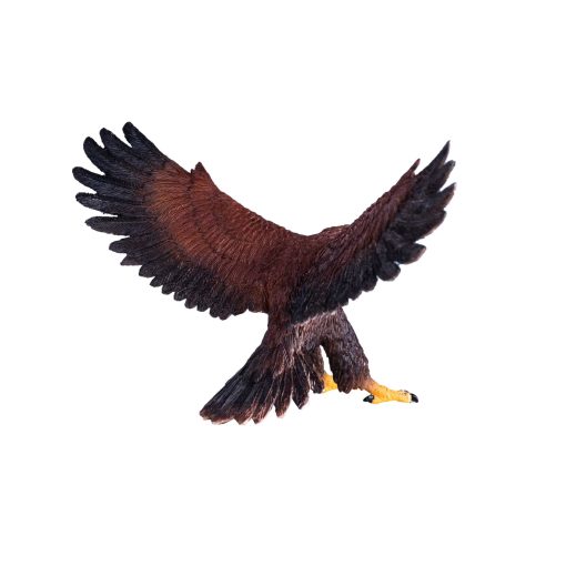 381051 Golden Eagle 3 2