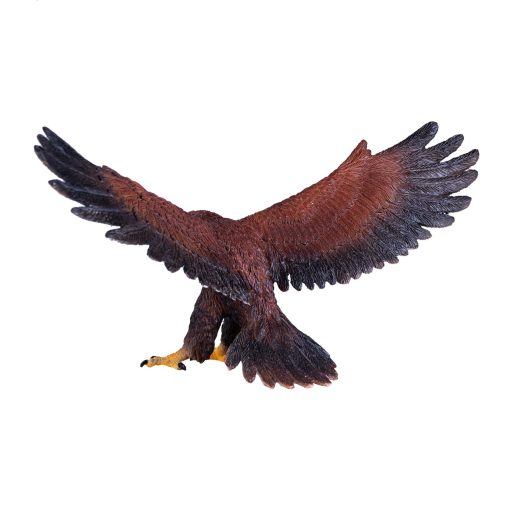 381051 Golden Eagle 4 2