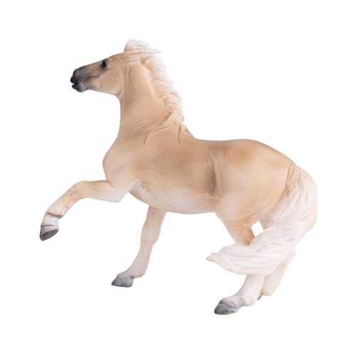 Mojo Brumby hingst - Image 3