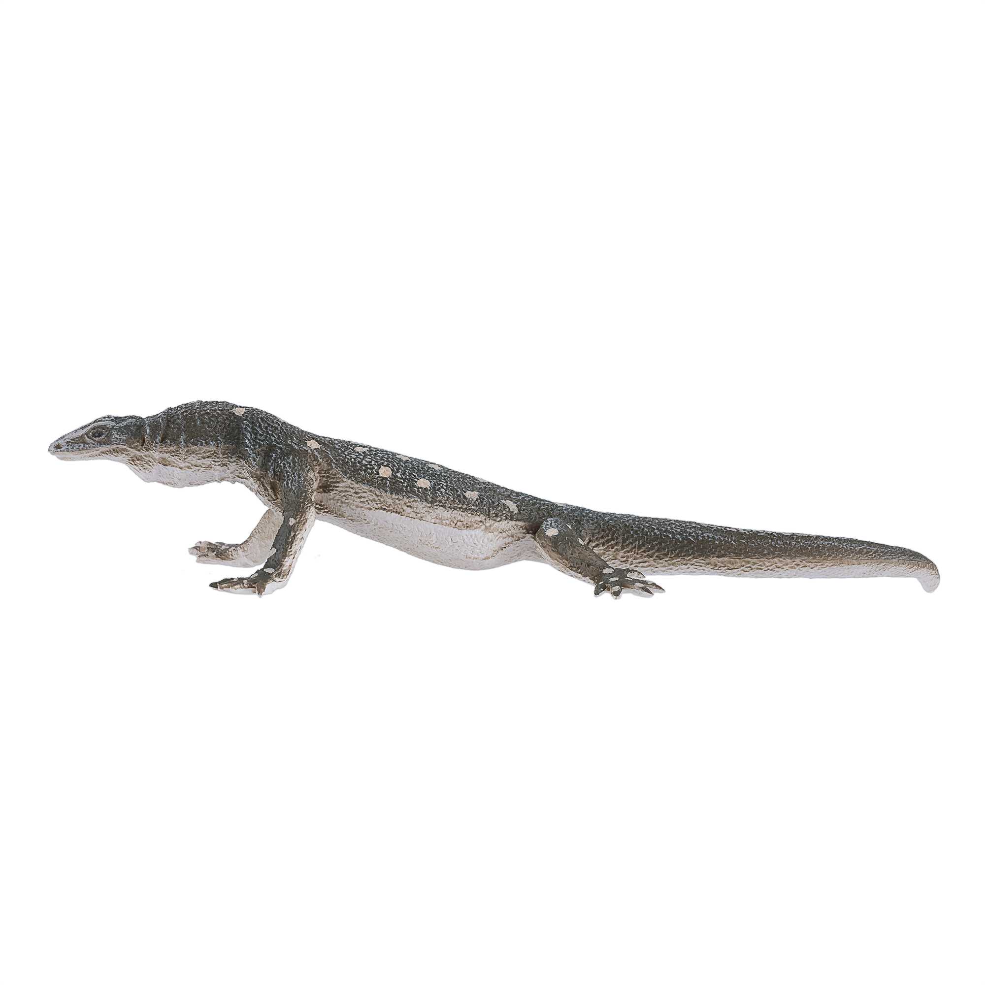 Mojo Perentie firben 8 Mojo Perentie firben - Billede 8