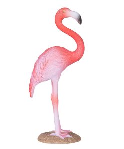 Mojo Amerikansk Flamingo