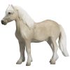 387282 Welsh Pony 1 2