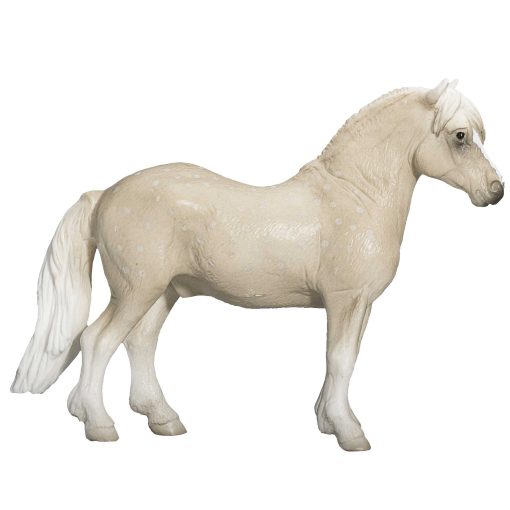 387282 Welsh Pony 3 2