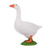 387377 Goose White 2 2