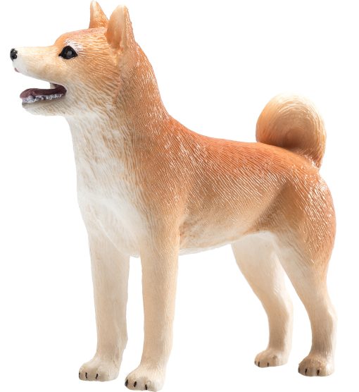 Mojo Shiba hund - Image 3