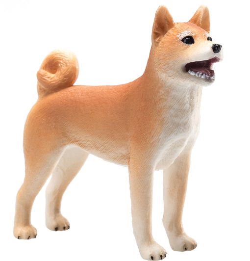 MJ 387140 animal planet shiba inu 4 2