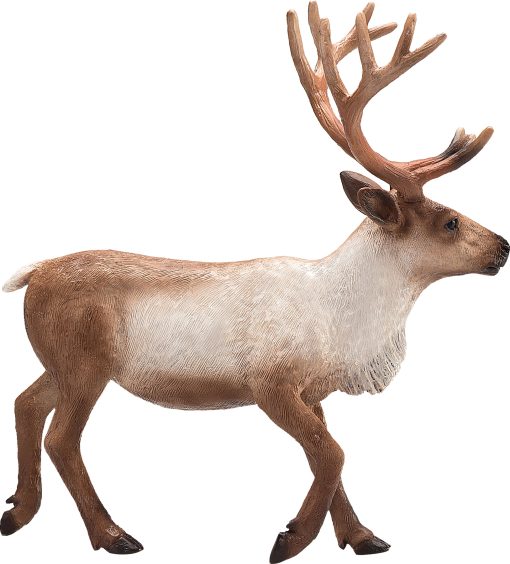 MJ 387186 animal planet reindeer 3 2