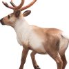 MJ 387186 animal planet reindeer 4 2