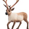 MJ 387186 animal planet reindeer 5 2