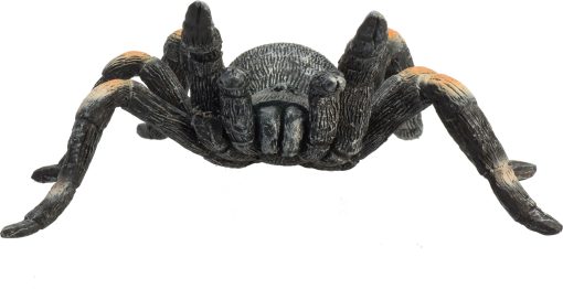 MJ 387213 animal planet red kneed tarantula 4 2