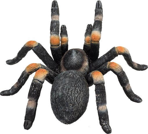 MJ 387213 animal planet red kneed tarantula 5 2